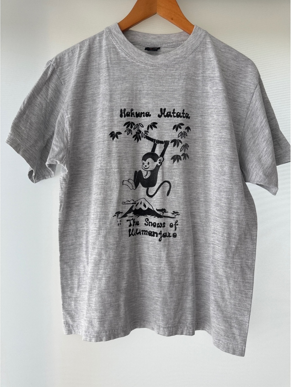 Sun Flag The Snows of Kilimanjaro Hakuna Matata Monkey T Shirt L Gray Graphic